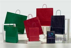 SHOPPERS DI CARTA VERDE 14+8.5x21.5